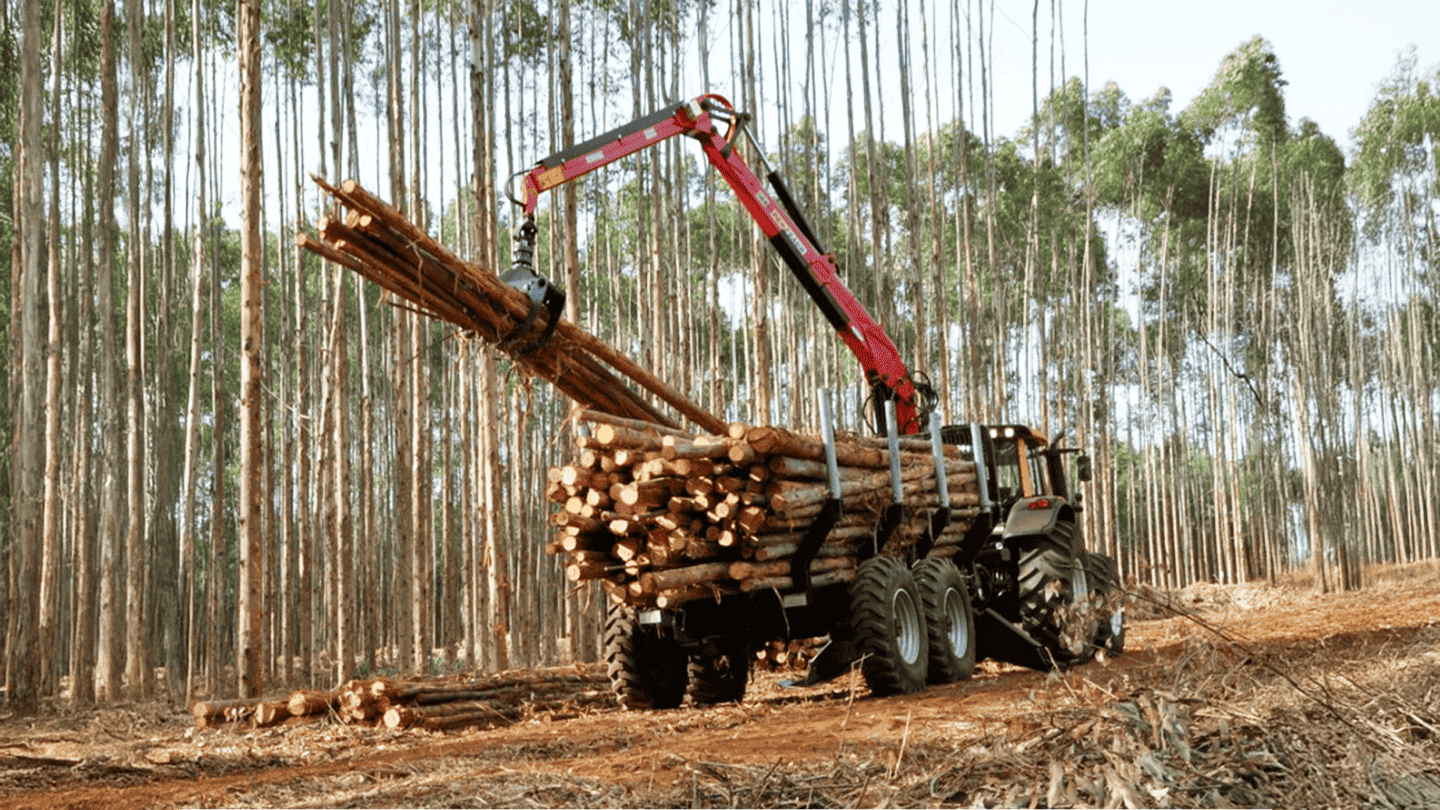 Autocarregável 8.60W 12 ton_4